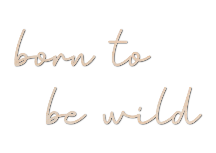 borntobewild1.png