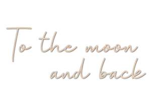 to the moon and back1.png