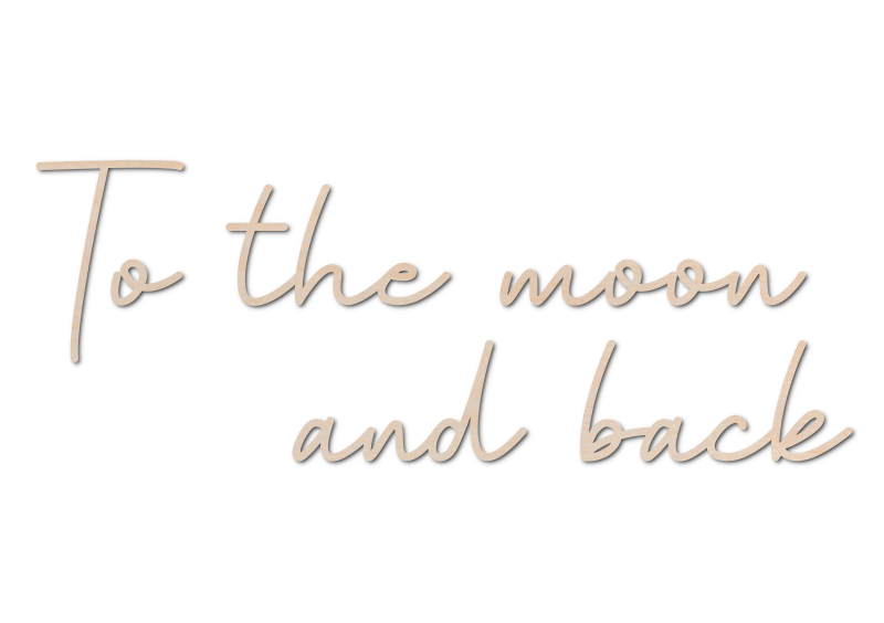 to the moon and back1.png
